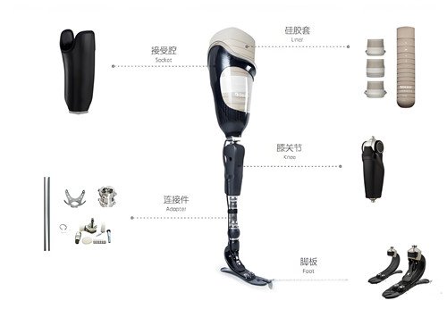 下肢假肢結構圖解